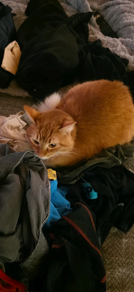 Imagen subida por Jonathan