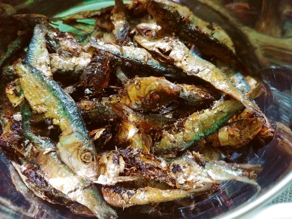 GIF uploaded by Jann