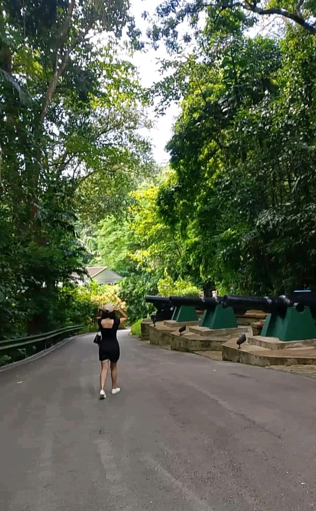 Natalie上传的GIF