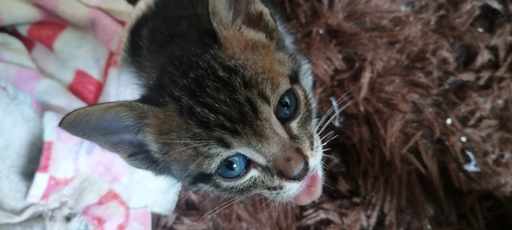 Imagem enviada por Kyan