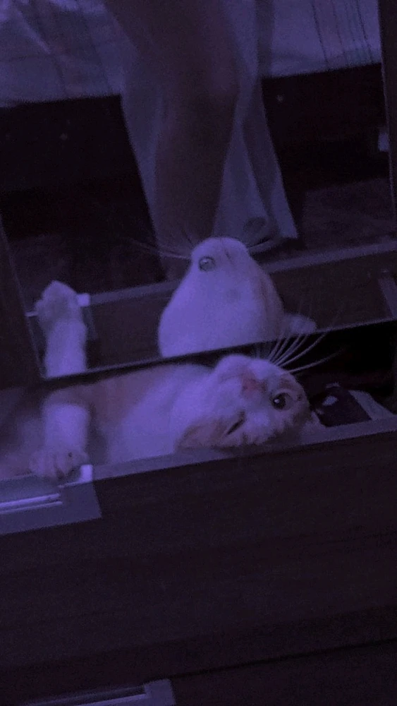 Imagem enviada por Kyan