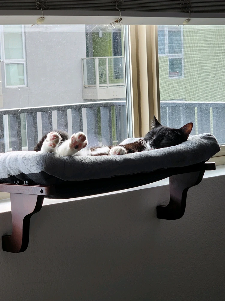 Gambar diunggah dening Shay