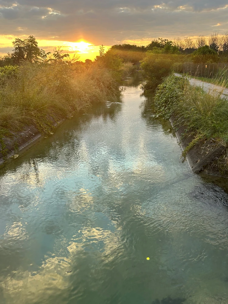 GIF enviado por Fabio