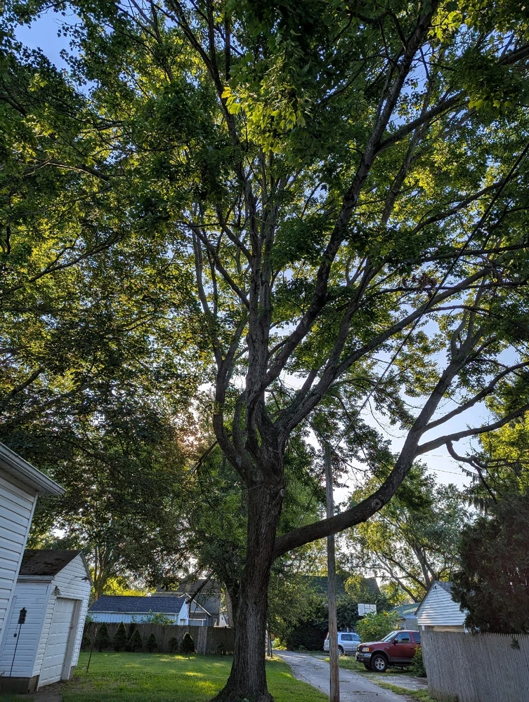 GIF uploaded by Tiffany