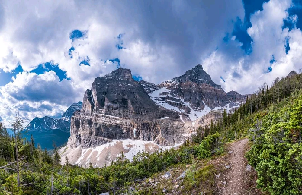 Image uploaded by Brian