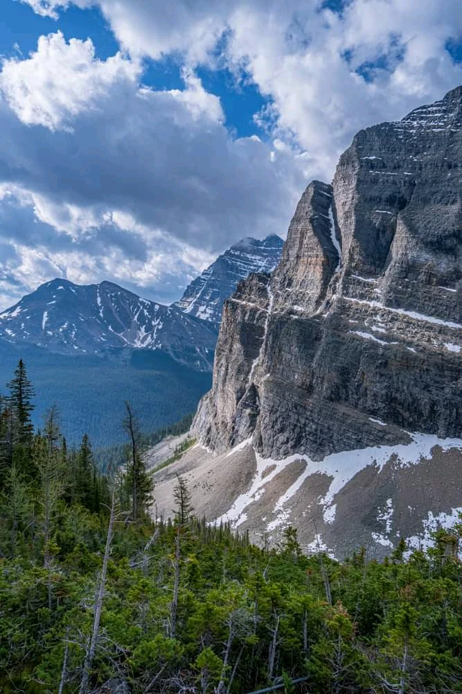 Image uploaded by Brian