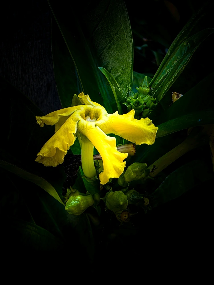 GIF subido por Kevin Omar