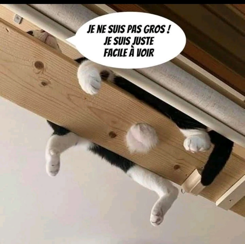 GIF ajouté par Rémy