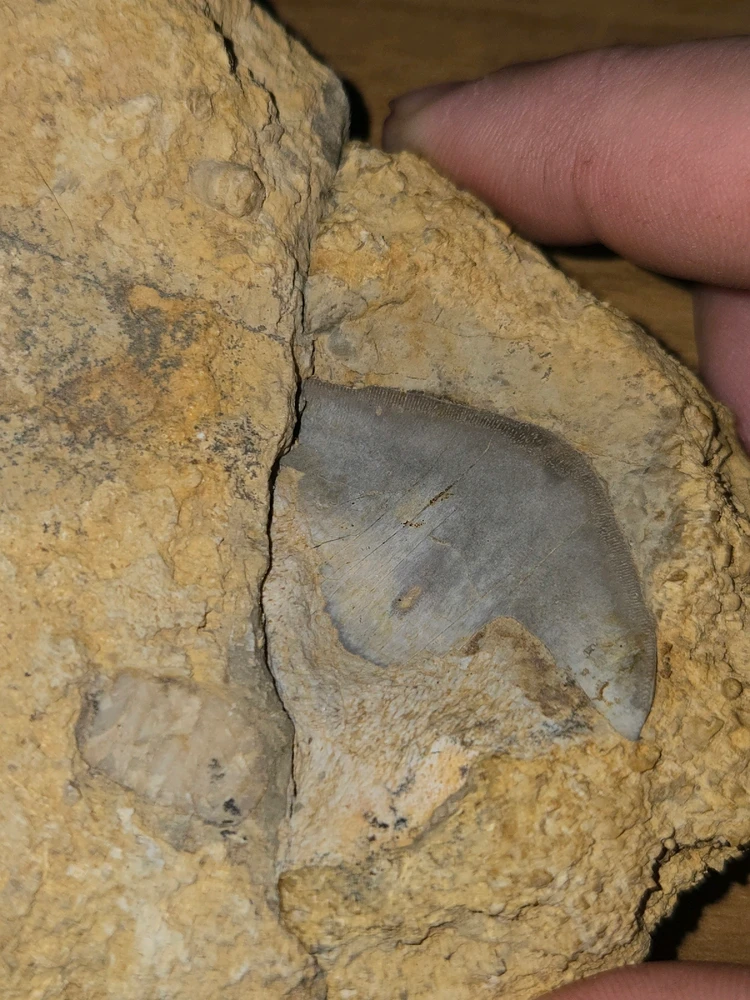 GIF uploaded by Hunter Weakley