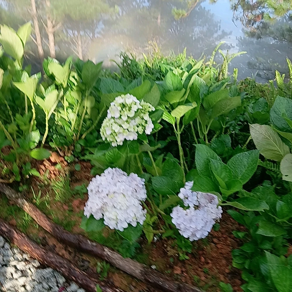 GIF được Kim anh tải lên