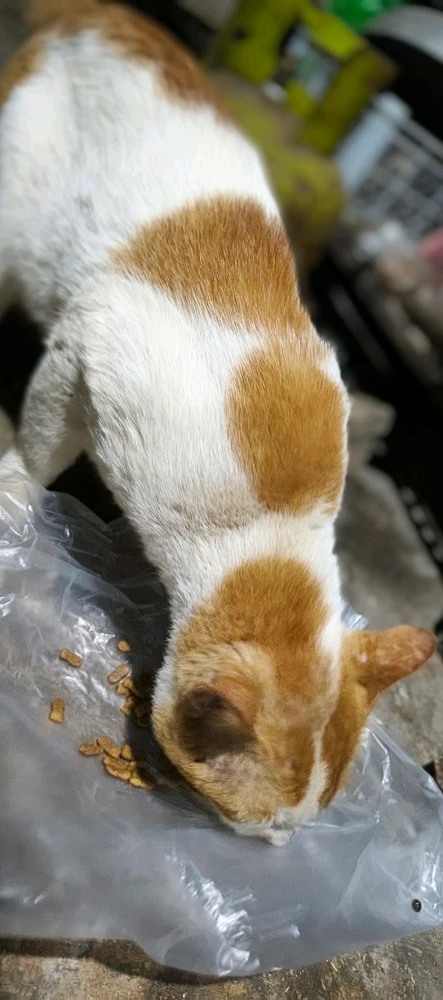 GIF uploaded by Just M