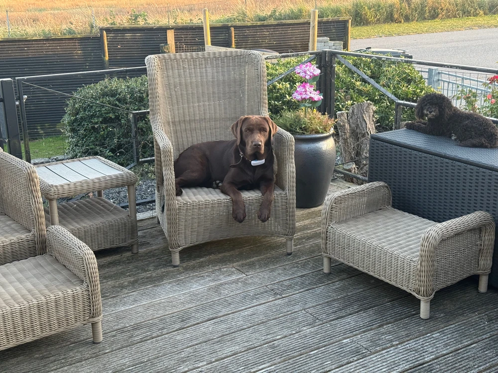 GIF uploadet af Marius