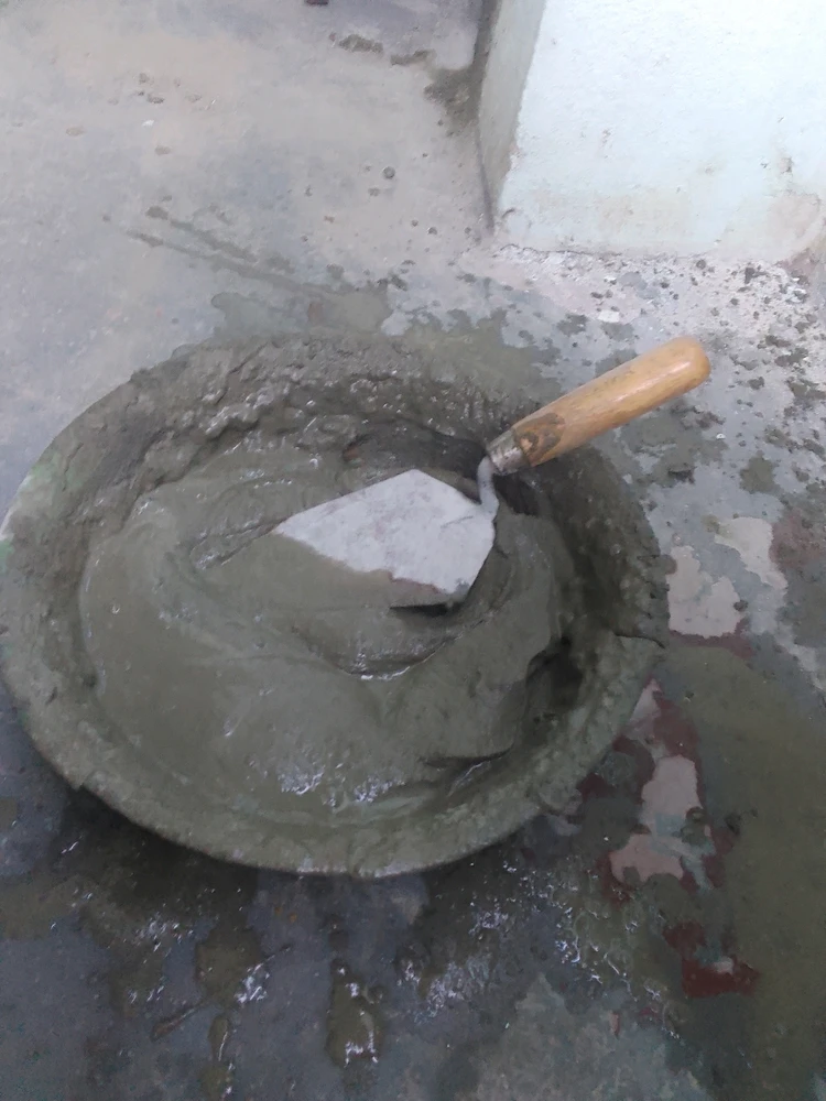 Imagem enviada por Elaine Cristina