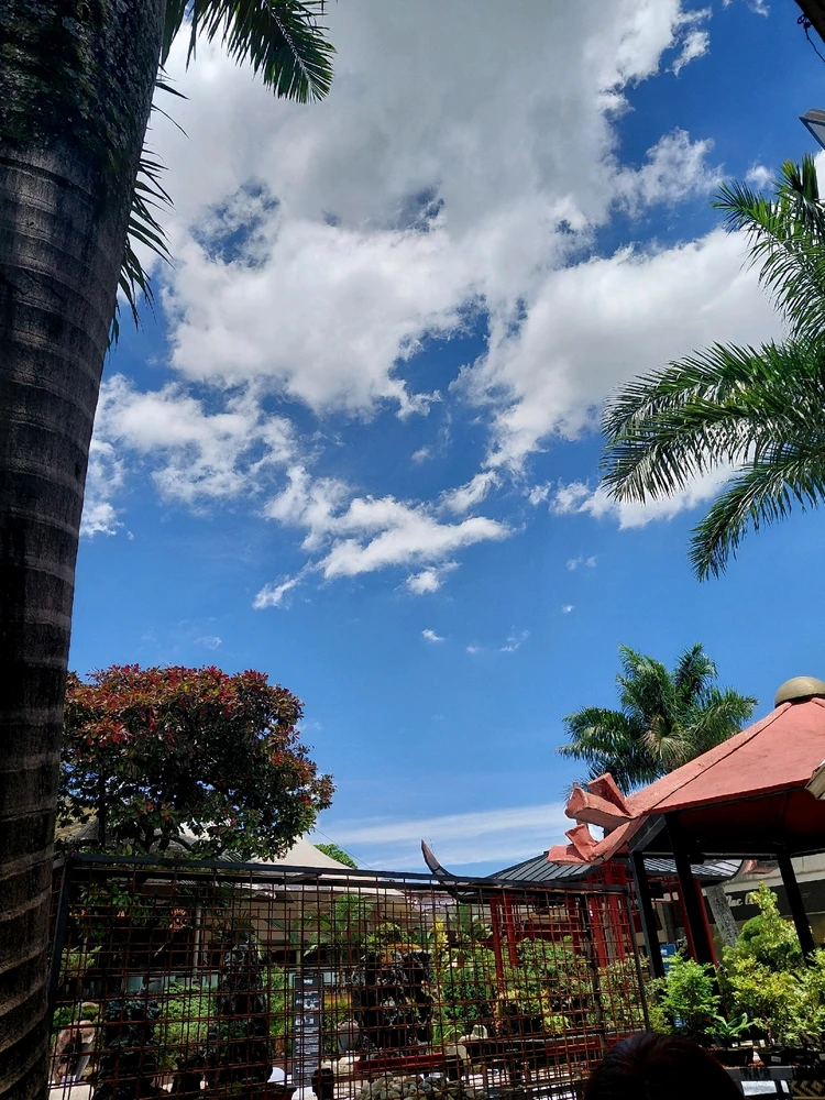 Imagen subida por Alexandra