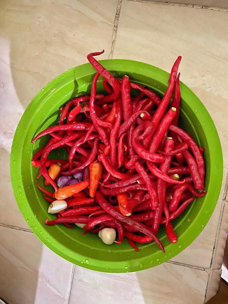 Image uploaded by Dini