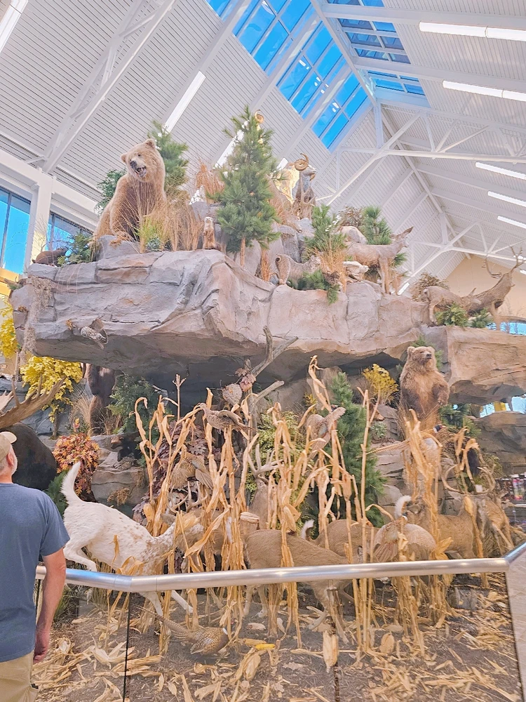 Midwest shopping to the extreme... Scheels lol