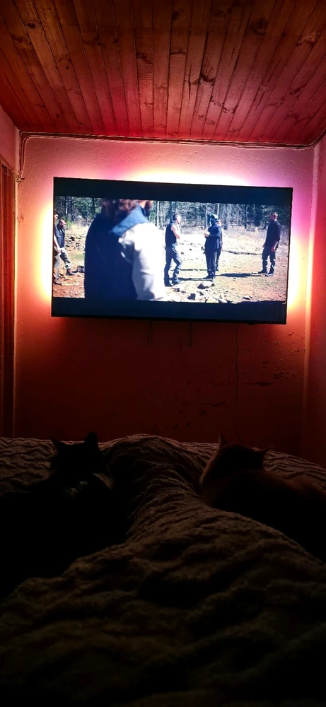 Imagen subida por Jonathan