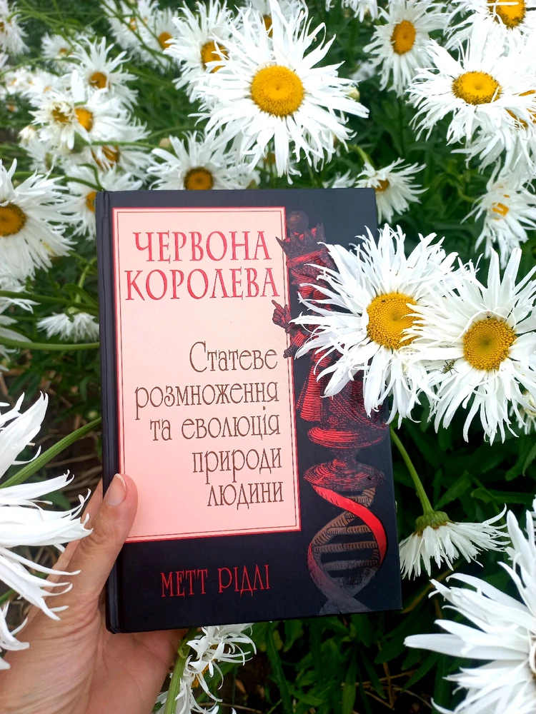 Гіфку завантажив Ksju_Ost