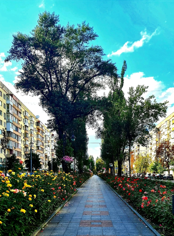 Гіфку завантажив Sergio