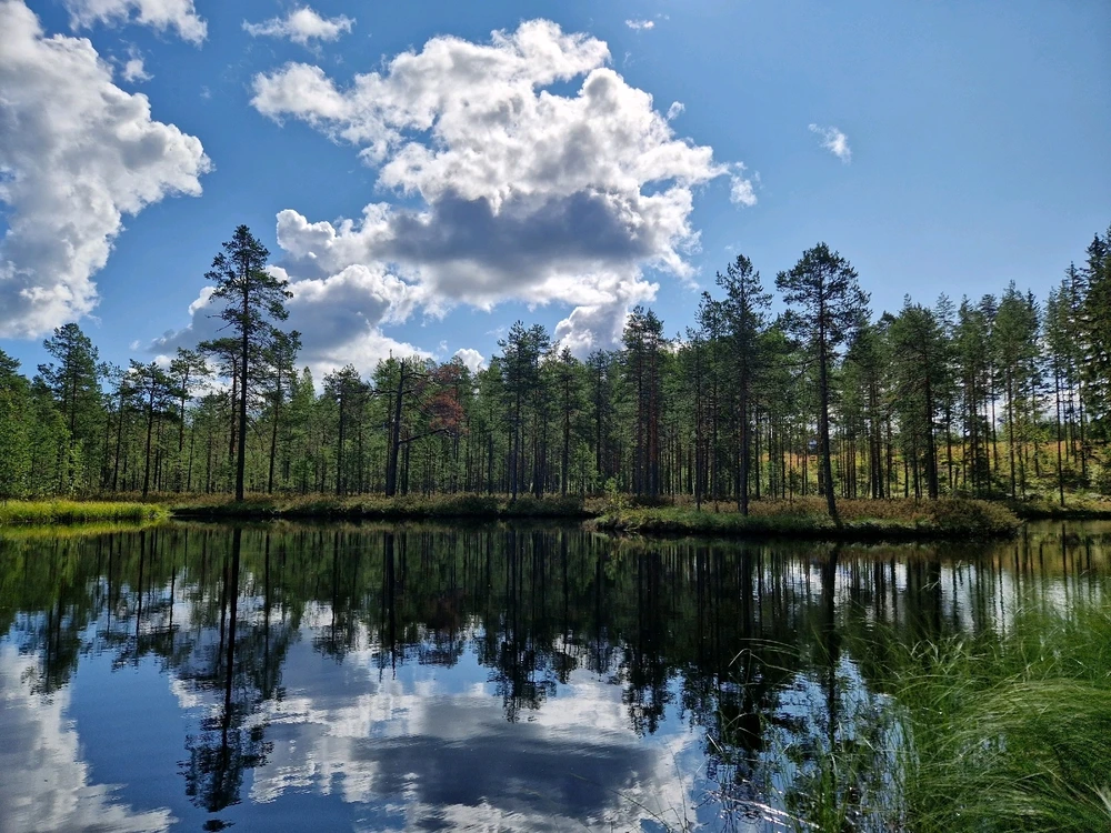 GIF uploaded by Aurora