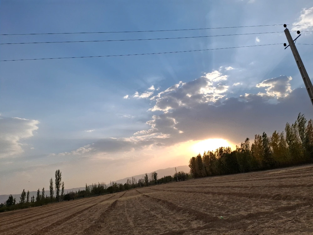 Image uploaded by Mohadese