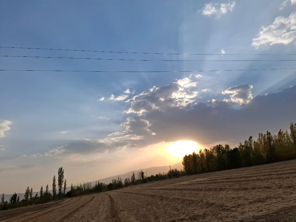 Image uploaded by Mohadese