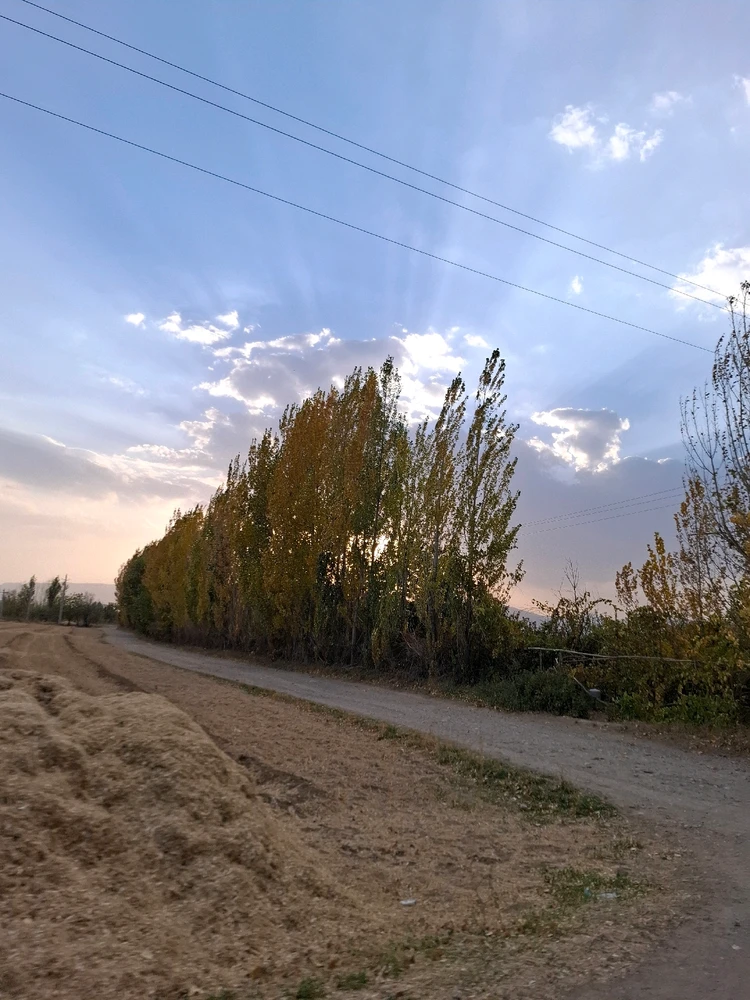 Image uploaded by Mohadese