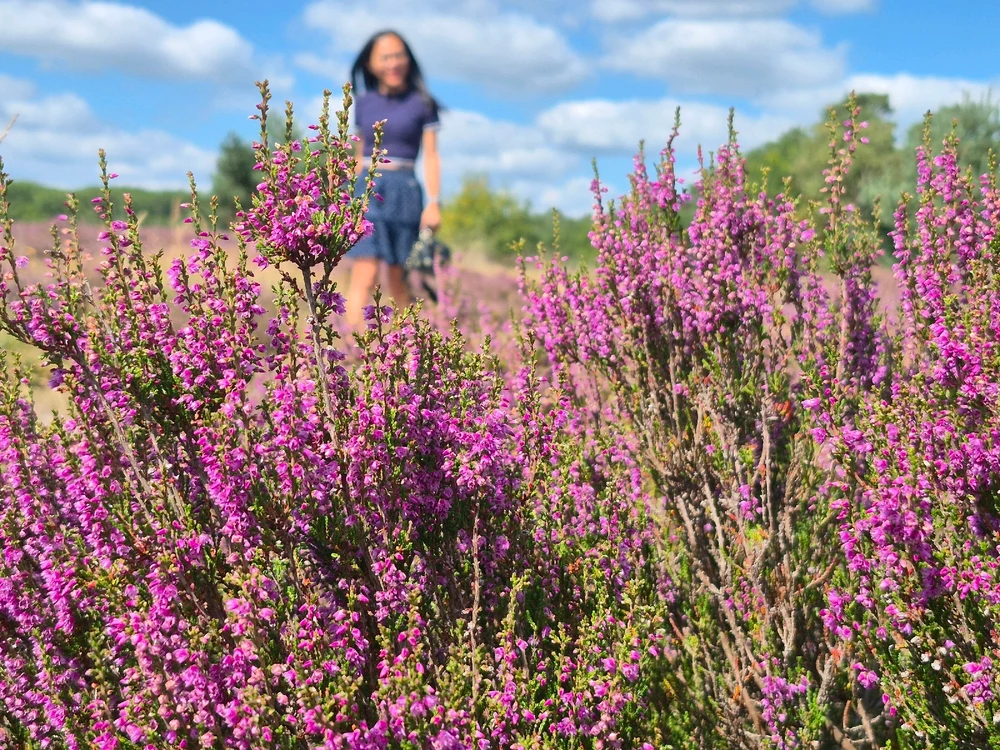 Image uploaded by Jasmine