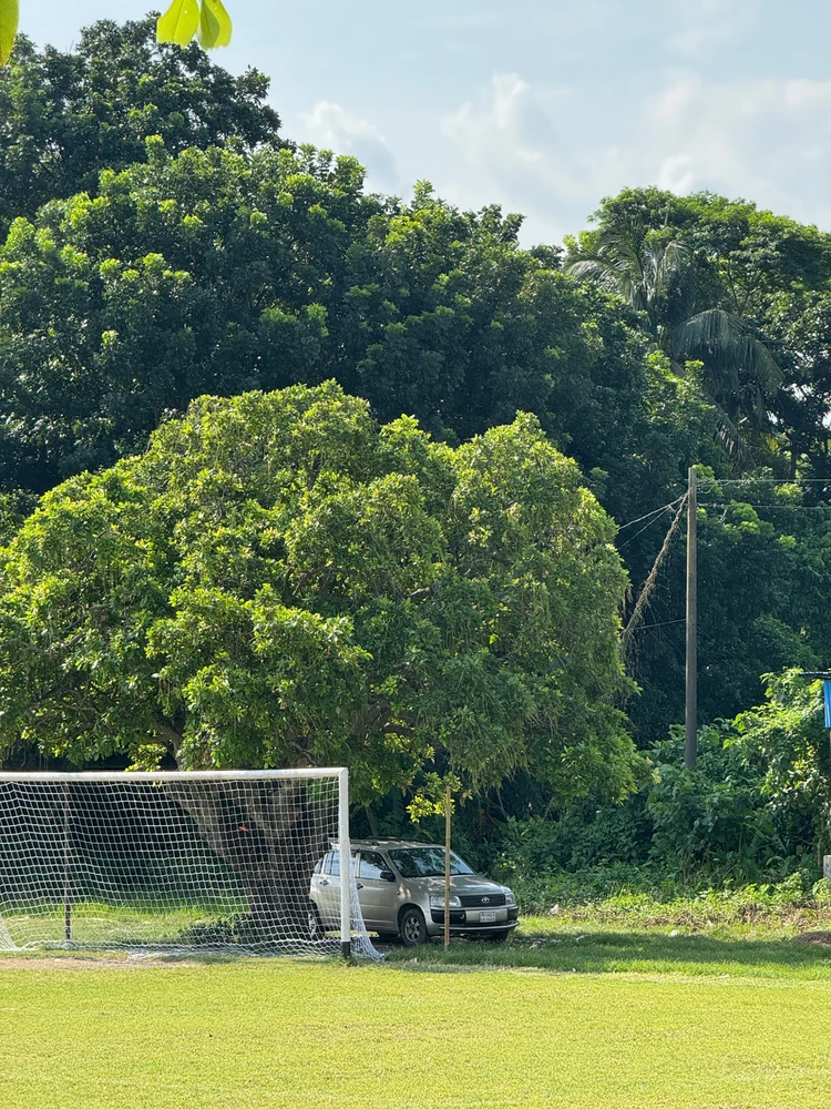 GIF uploaded by Hasan Mahmud