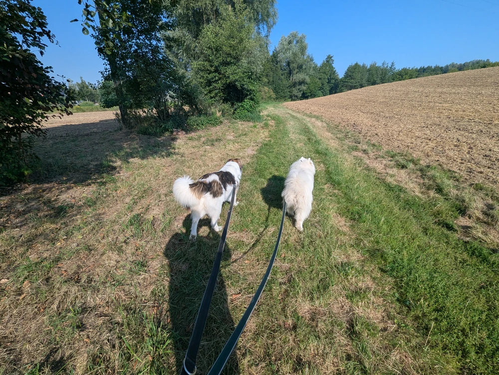 Trzeba korzystać z lata :p