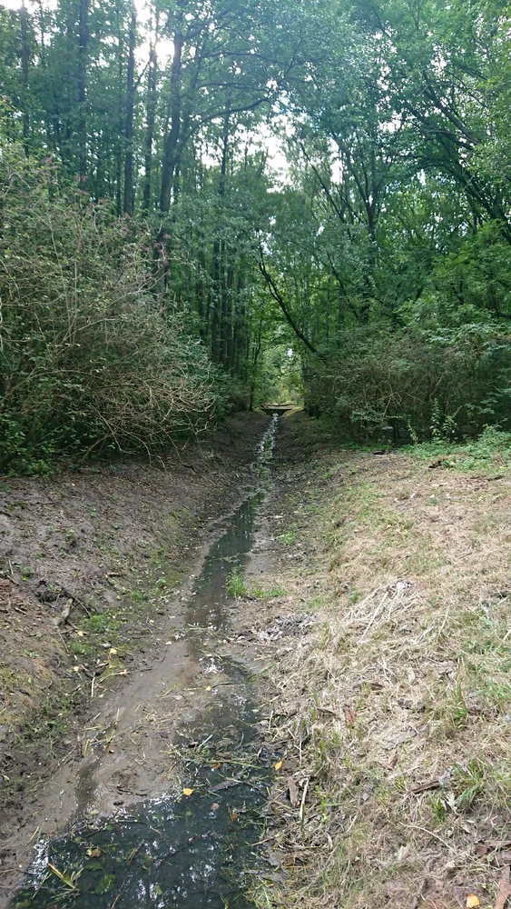 Zdjęcie dodane przez Tomasz