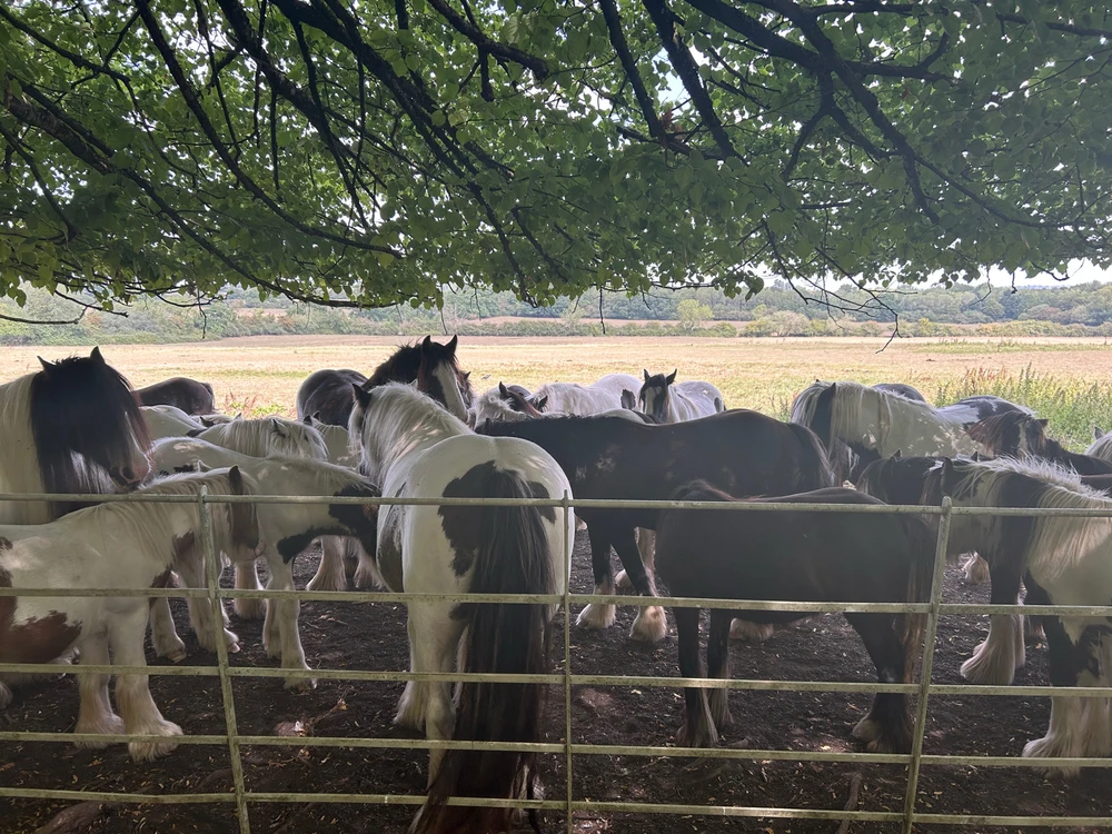 GIF uploaded by Kayleigh