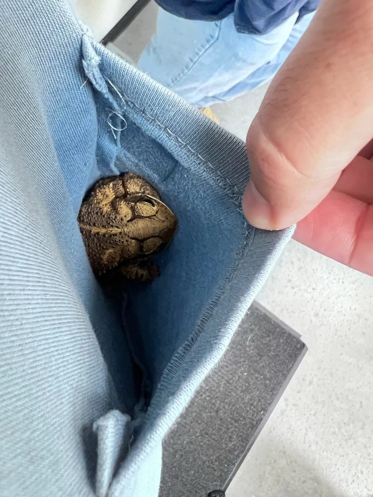 Image uploaded by Jackson