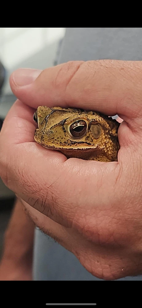 Image uploaded by Jackson