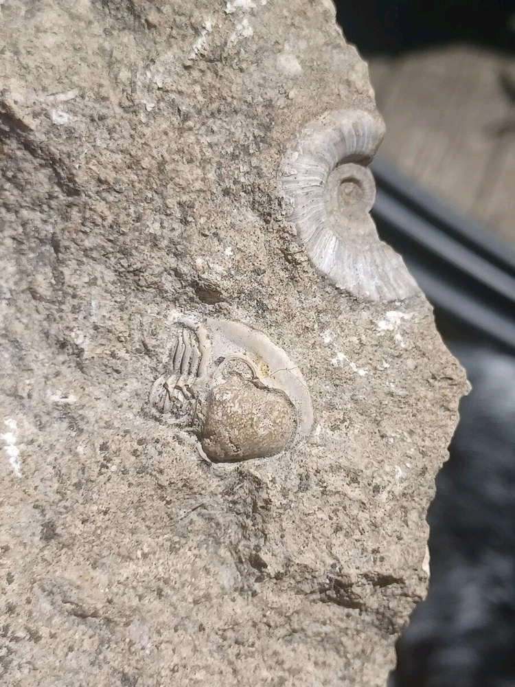 GIF uploaded by Hunter Weakley