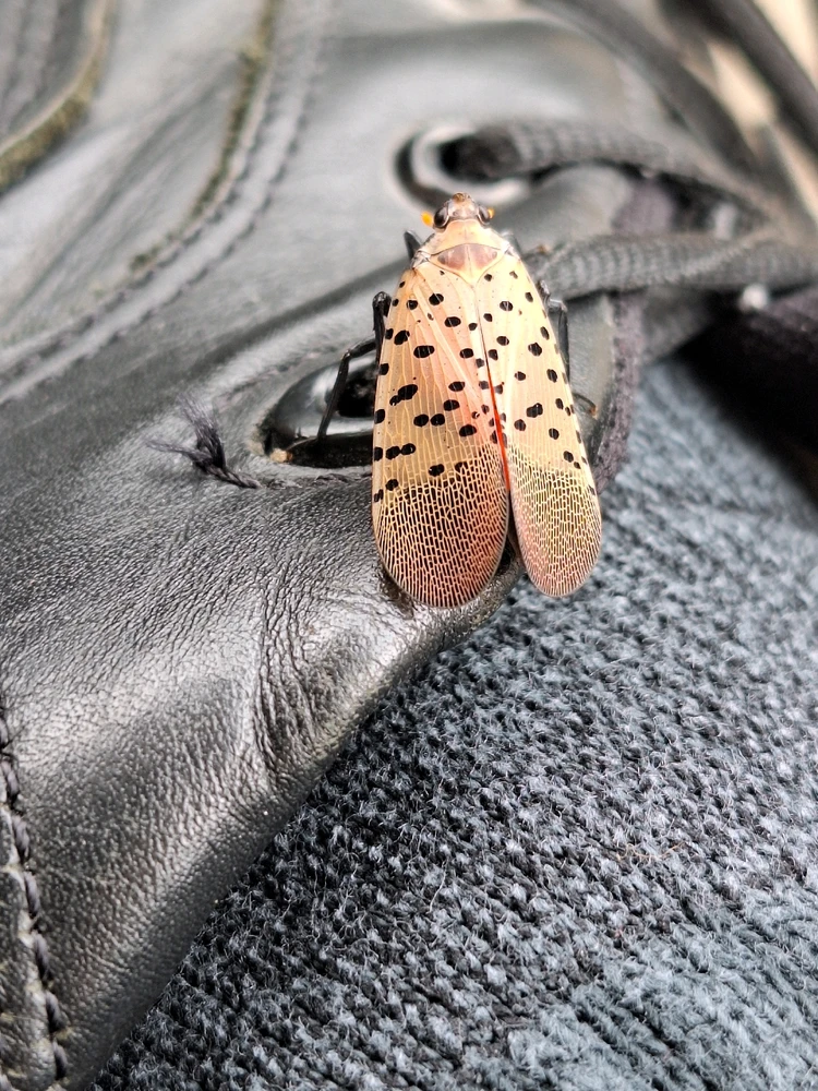 GIF uploaded by Matt