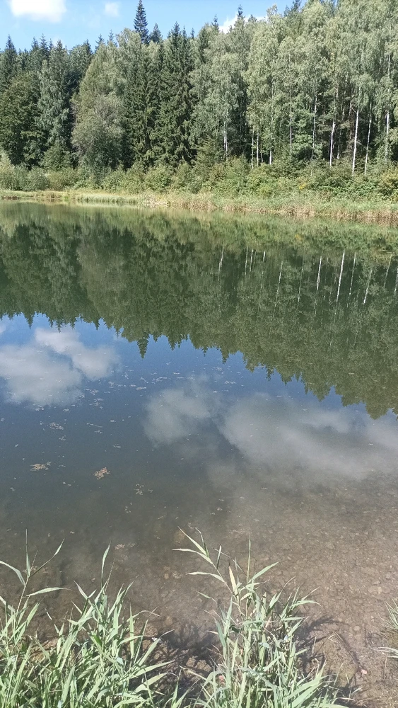 Obrázek nahrál Zlata