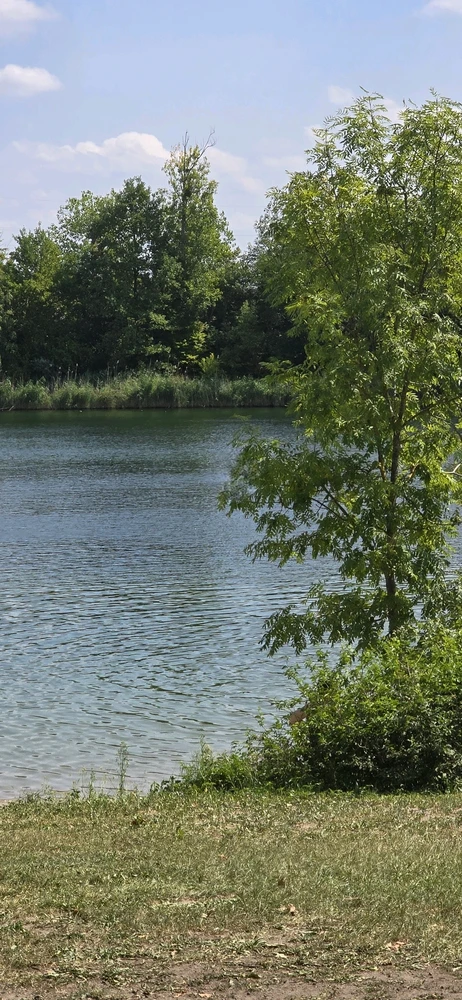 Bild hochgeladen von Sarah