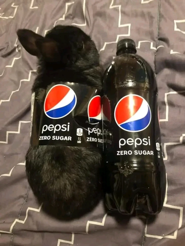 GIF nahrál ZuzanaJamaris