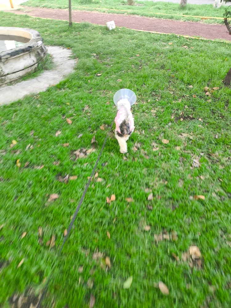 GIF subido por Héctor Cardona