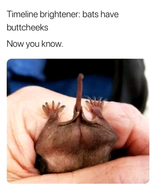 Гіфку завантажив Natalia🦇