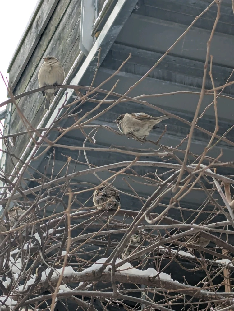 GIF uploaded by Lily