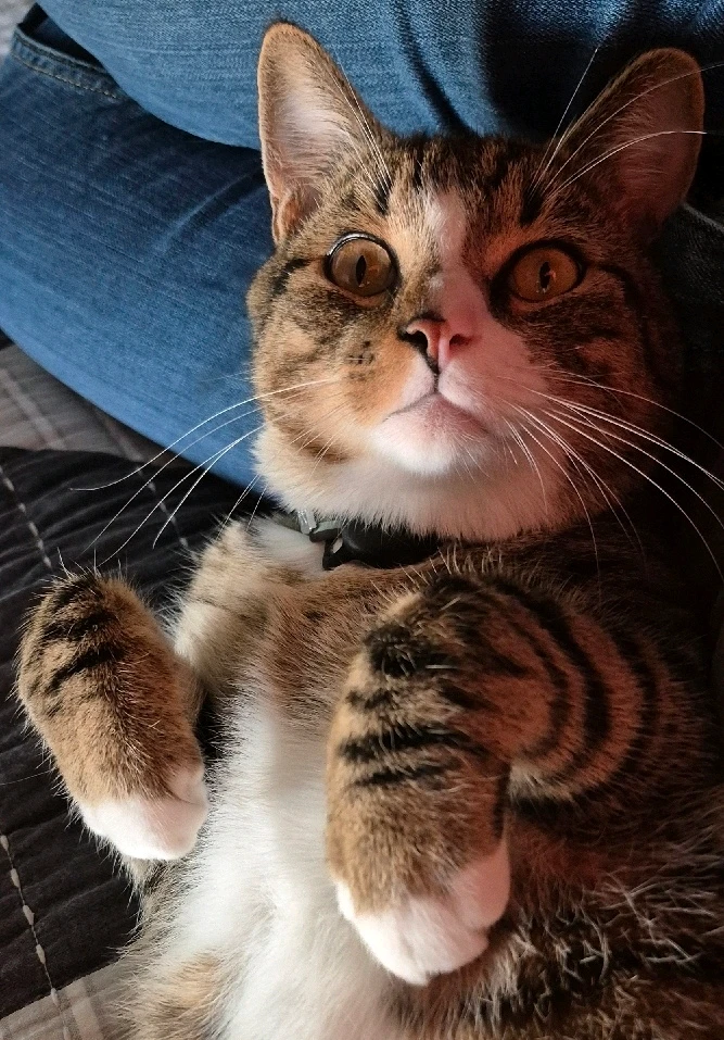 GIF uploaded by Amanda