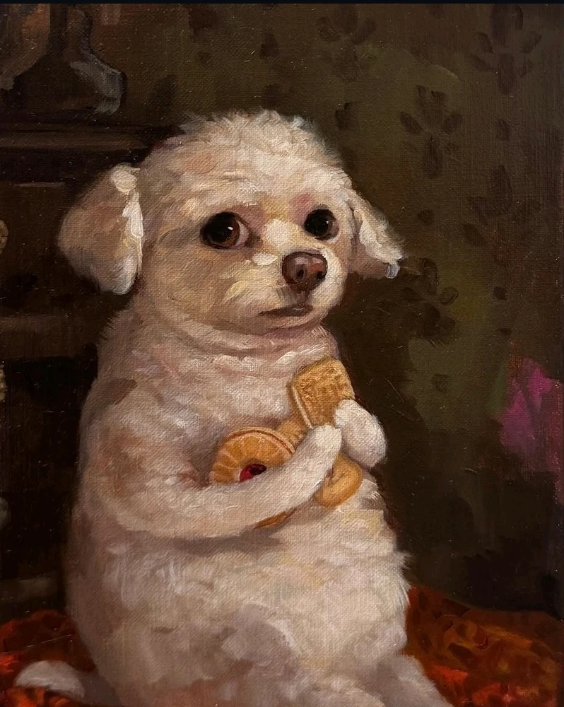 GIF hochgeladen von Alexander