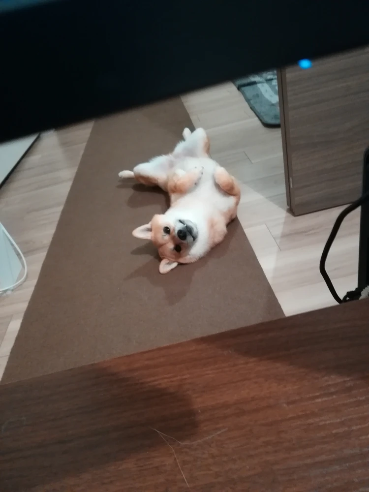 Angeloがアップロードした画像