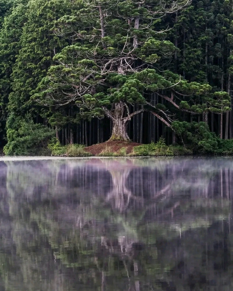 GIF ajouté par Stef