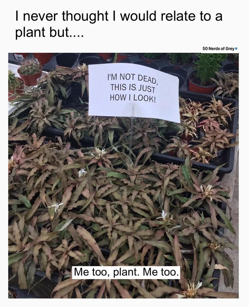 David által feltöltött kép