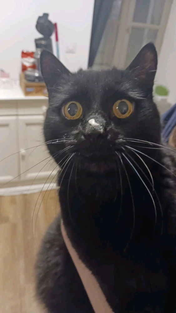 GIF ajouté par Stephe