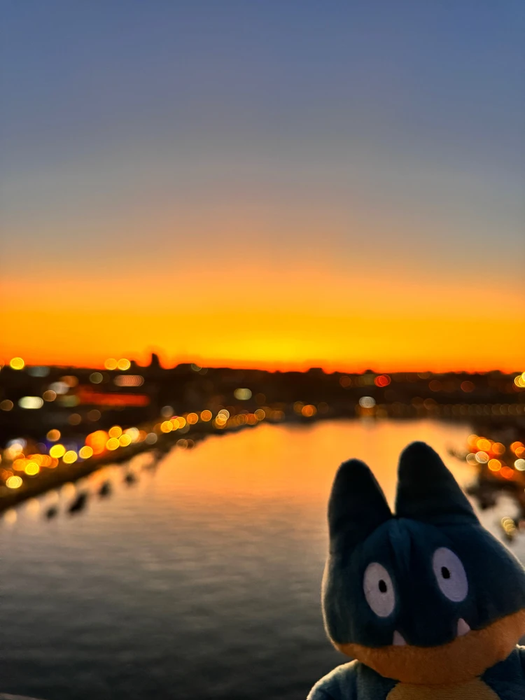 GIF uploaded by Eric