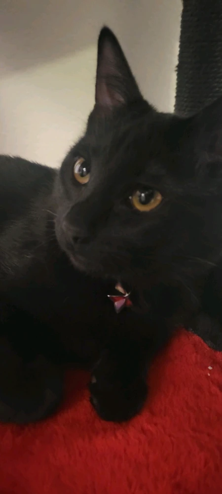 I raised her since she was only 2 months old...